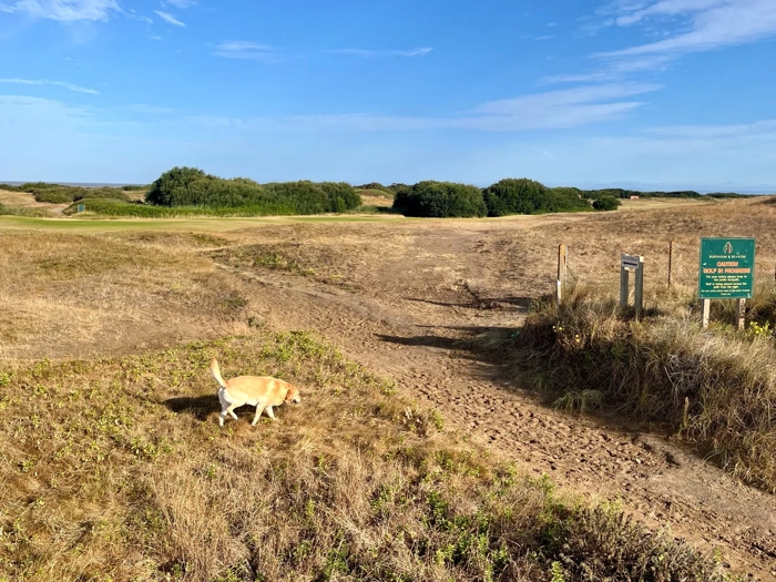 Beach-foot-path-across-Berrow-Golf-Course