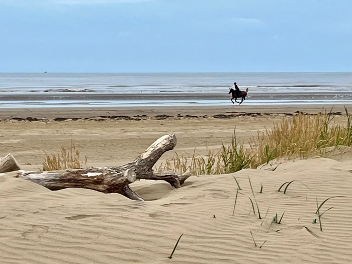 Horse-riding-on-berrow-beach