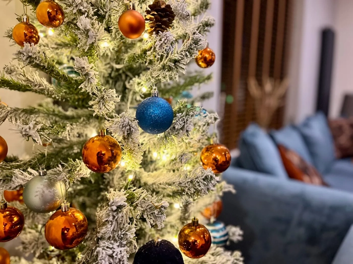 christmas-tree-at-high-beach-somerset