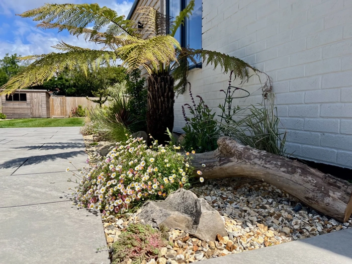 high-beach-driftwood-coastal-planting-beds-somerset