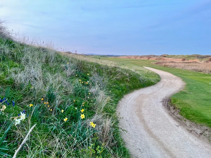 spring-evening-walk-berrow-golf-club-somerset-coast
